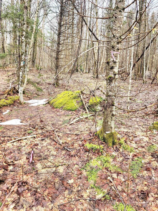 2 Diamond Pond Rd unit B, Stewartstown, NH 03576 - photo 4