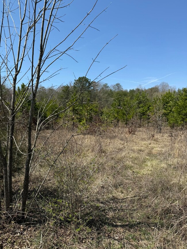 0 S Amhurst Place unit RTC3051683, Englewood, TN 37329 - photo 5