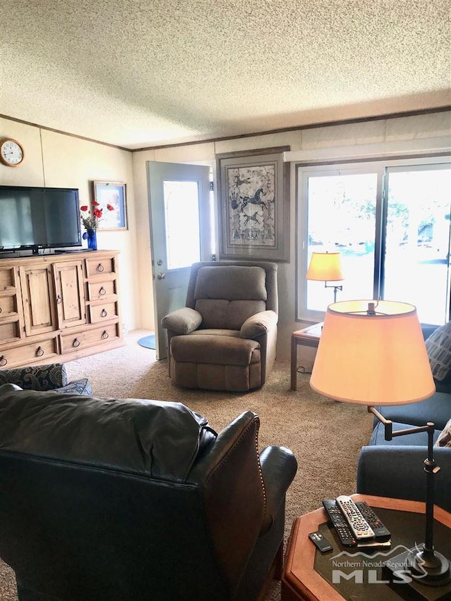 76 Rose Peak Rd, Dayton, NV 89403 - photo 3