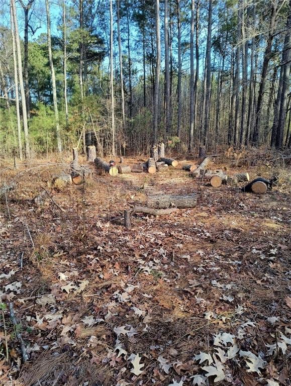 1.4+AC Ernest Ln, Hayes, VA 23072 - photo 4