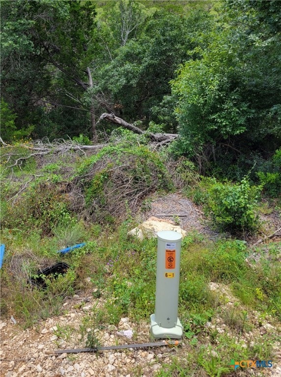 LOT 315 Pr 1745, Mico, TX 78056 - photo 3