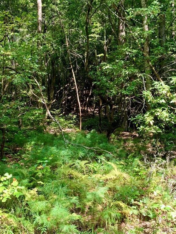 TBD Double Creek Dr, Brevard, NC 28712 - photo 3