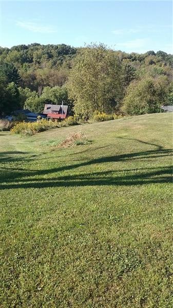 View from center of property looking south. House 