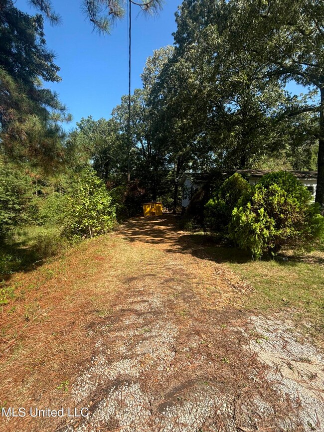 Photo Sep 17 2024, 11 10 51 AM