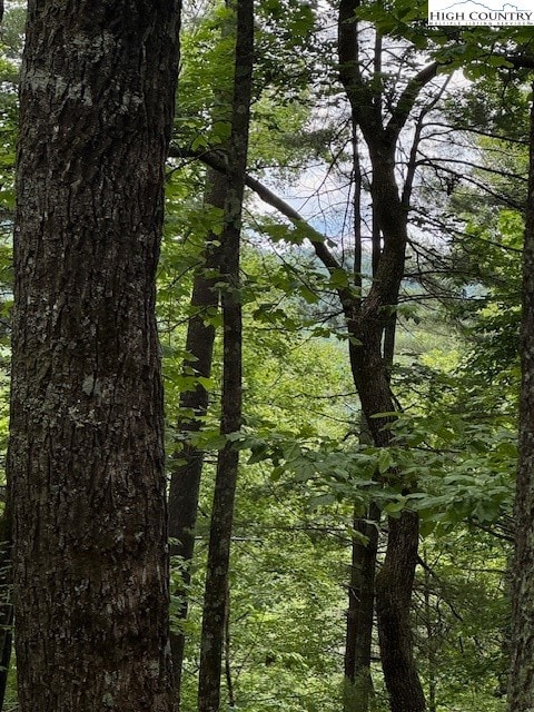 Potential view