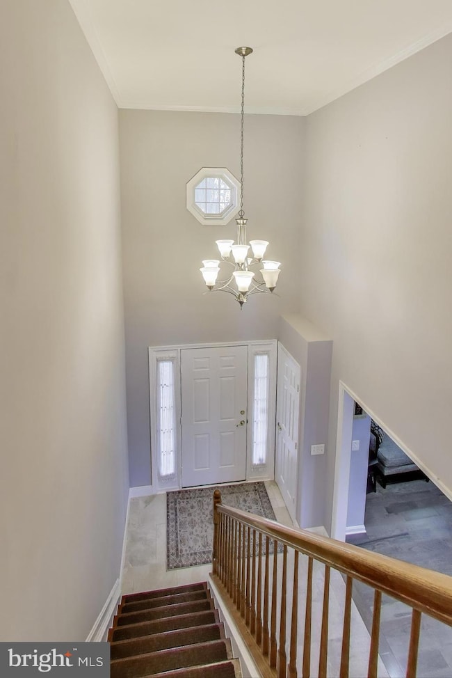 5337 Box Turtle Ct, Woodbridge, VA 22193 - photo 5