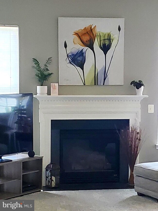 106 Shumard Ct, Stephens City, VA 22655 - photo 5