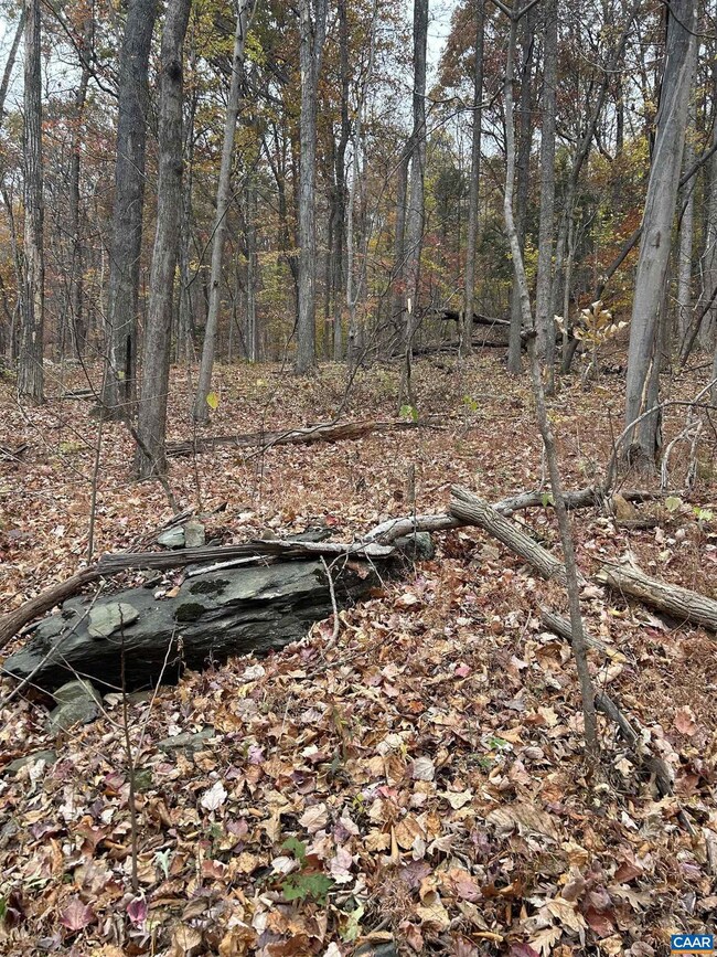 355 Stone Chimneys Rd unit 26, Nellysford, VA 22958 - photo 4