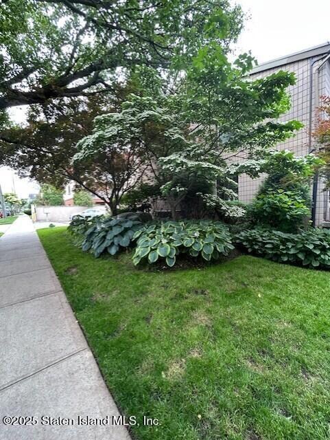 greens 49 hylan