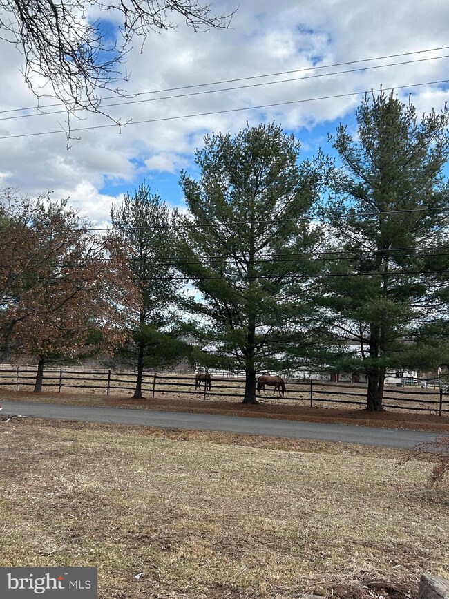 602 Scott Rd, Perkasie, PA 18944 - photo 2