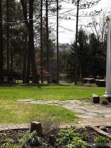 View. Pond is on neighboring property, but provide