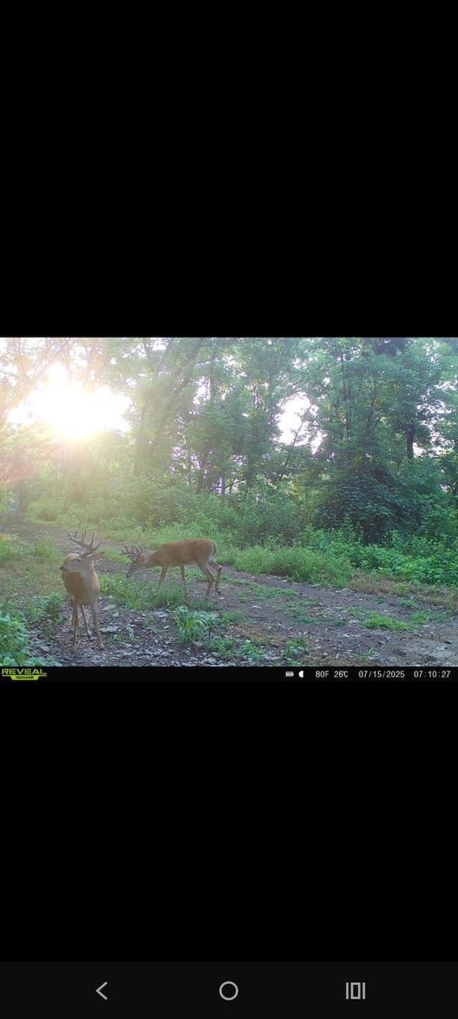 0 Markland Pike, Vevay, IN 47043 - photo 3