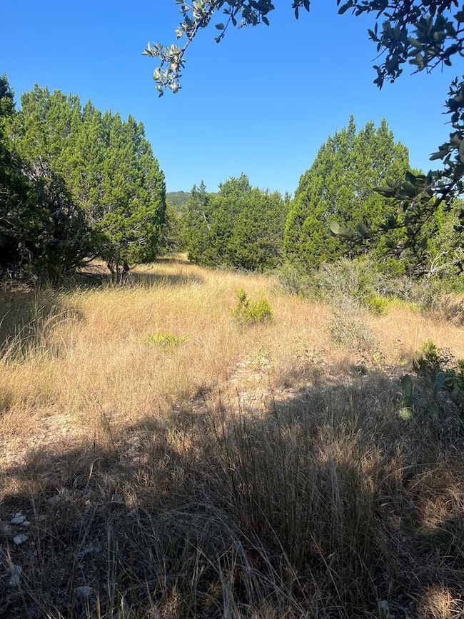 4223 Texas 173, Bandera, TX 78003 - photo 5