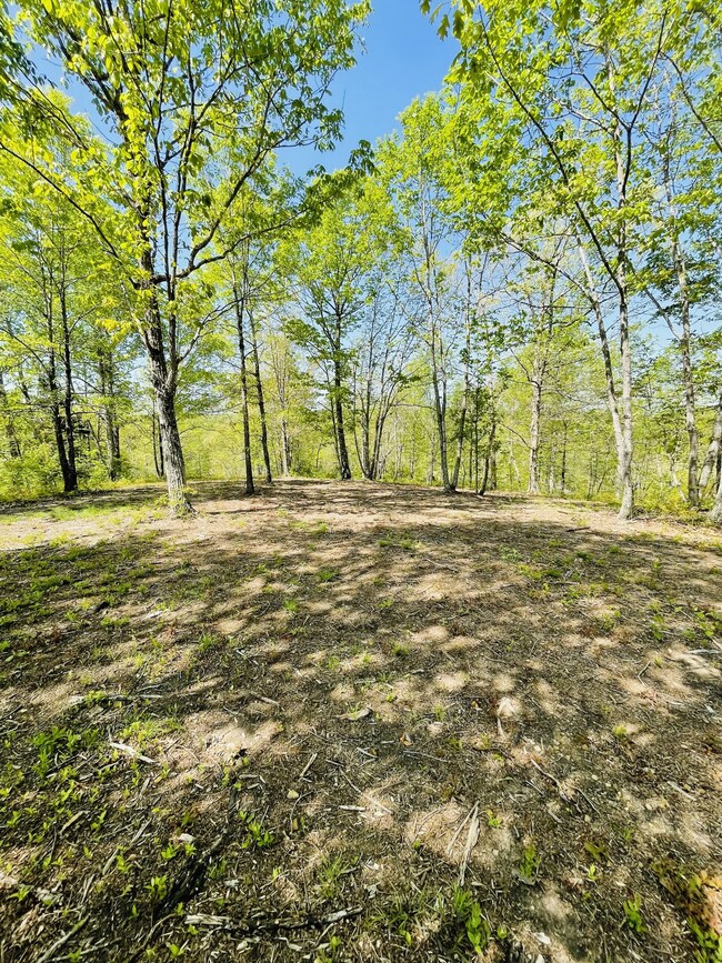 0 Saddlebrook Dr, Hohenwald, TN 38462 - photo 2