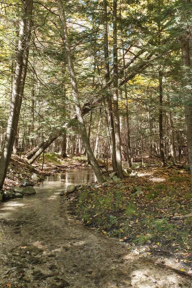 1607 Jenkins Rd, Boyne Falls, MI 49713 - photo 4