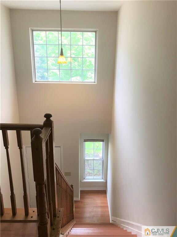 275 Shady Oak Ct unit 75, Piscataway, NJ 08854 - photo 3