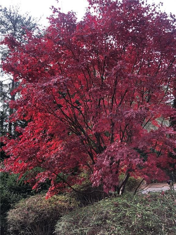 8665 Steeple Chase Dr, Roswell, GA 30076 - photo 6