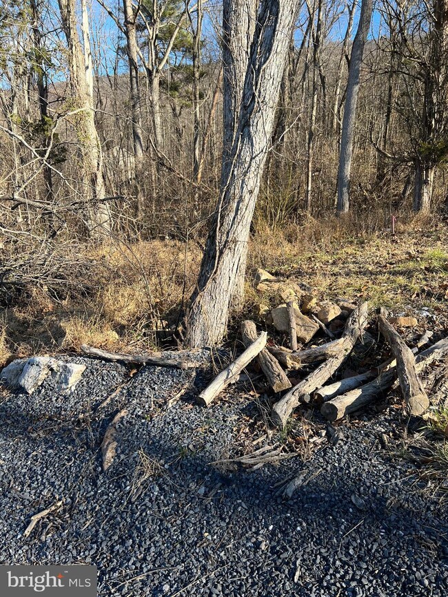 0 Deer Rapids Rd unit VASH2005258, Strasburg, VA 22657 - photo 4