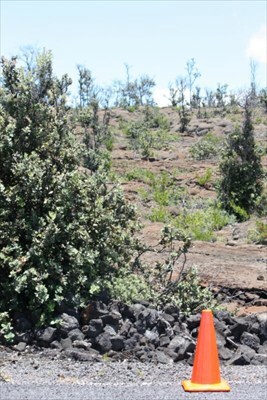 The view from the bottom of lot 23, block 143 from Iwalani Parkway.