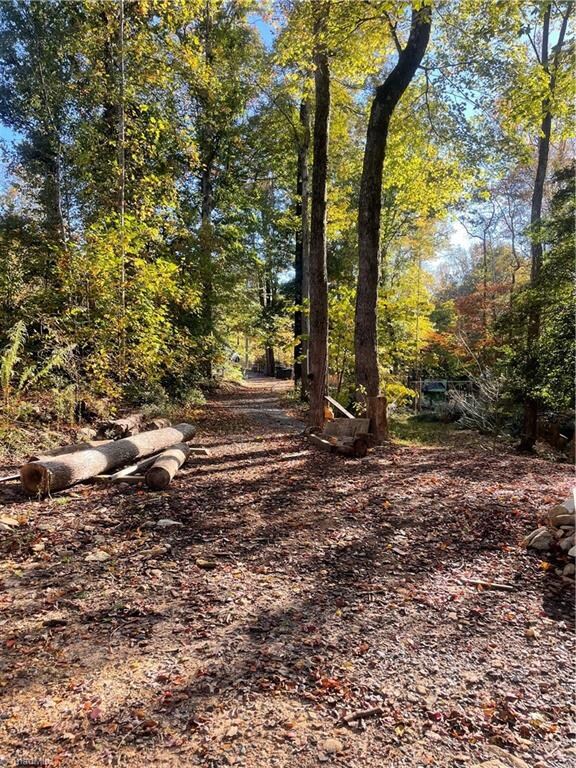 1042 Foggy Mountain Rd, Asheboro, NC 27205 - photo 4