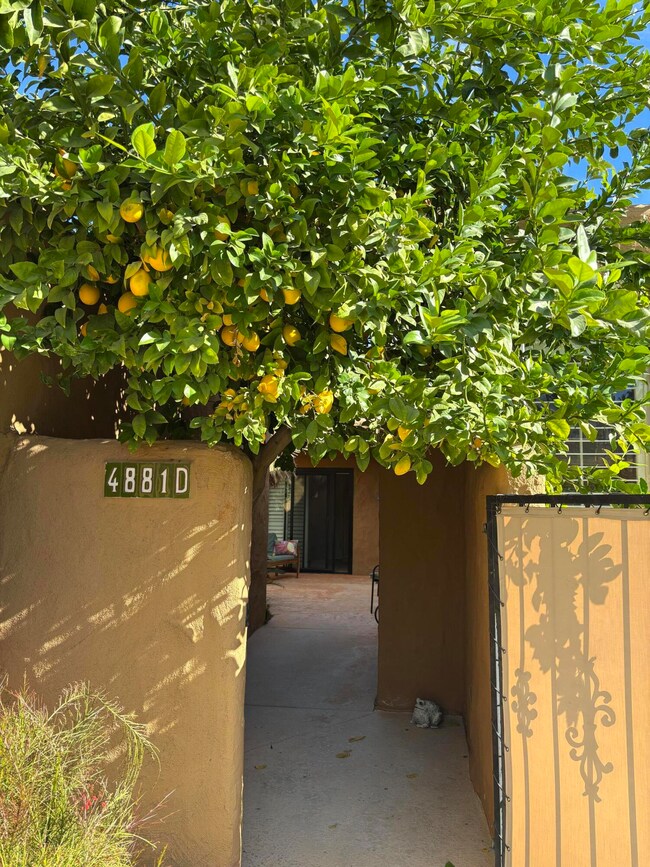 4881 S Winners Cir unit D, Palm Springs, CA 92264 - photo 5