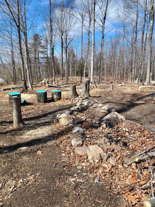 0 Sumner Rd, Paris, ME 04281 - photo 7