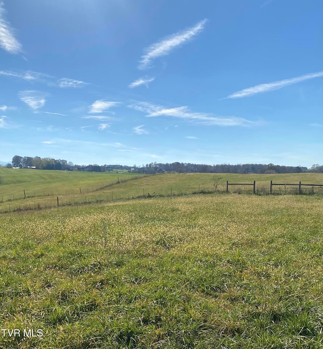 689 Painter Rd, Fall Branch, TN 37656 - photo 4