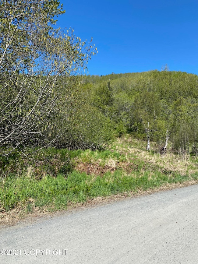 58150 Glacier View Rd, Fritz Creek, AK 99603 - photo 4