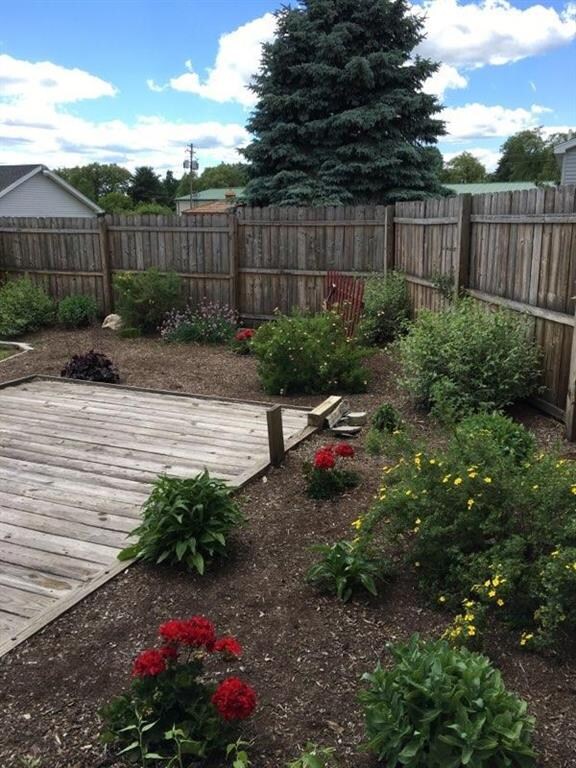 Back landscaping
