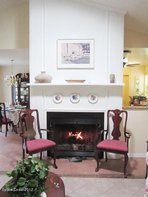 New Fireplace photo march 2017