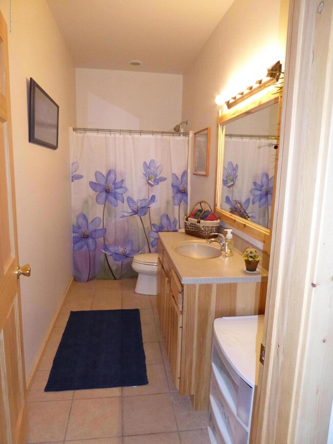 Basement Bathroom