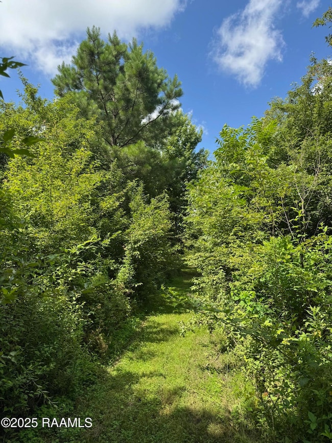 Tbd Frozard Rd unit 5, Arnaudville, LA 70512 - photo 5