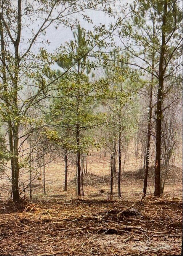Tract D Marshall Mill Rd, Powersville, GA 31008 - photo 2
