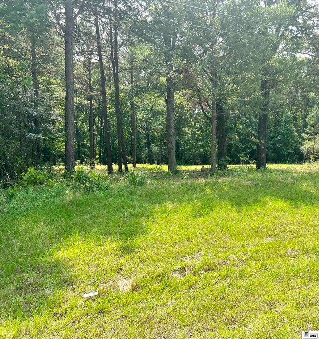 12670 Crossett Rd, Bastrop, LA 71220 - photo 2