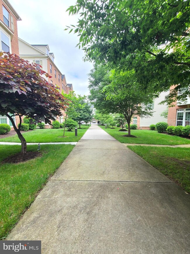 15103 Leicestershire St unit 69, Woodbridge, VA 22191 - photo 5