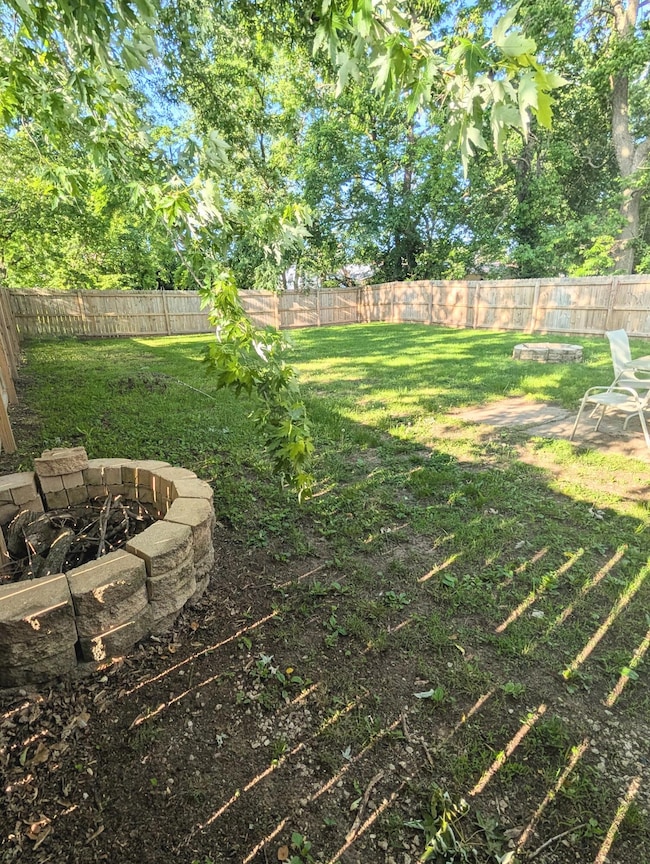 Backyard 2