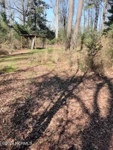 0 First St unit 100427666, Ayden, NC 28513 - photo 2