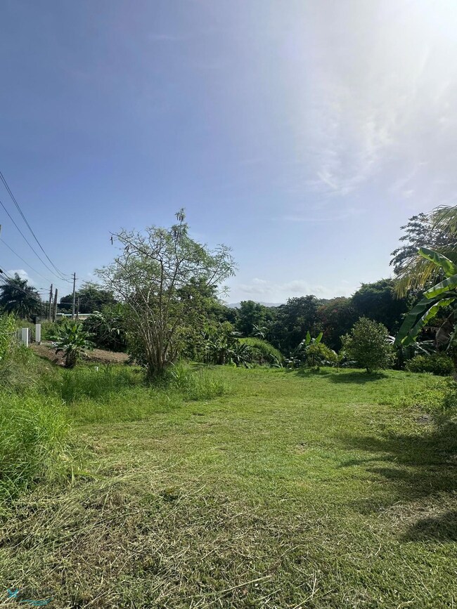 0 Carr 108 unit Lote 4 60998, Mayaguez, PR 00680 - photo 3