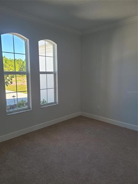 5251 Lake Venice Dr, Wimauma, FL 33598 - photo 5