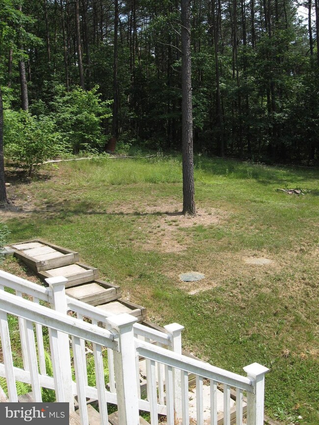 2151 Posey Hollow Rd, Berkeley Springs, WV 25411 - photo 7