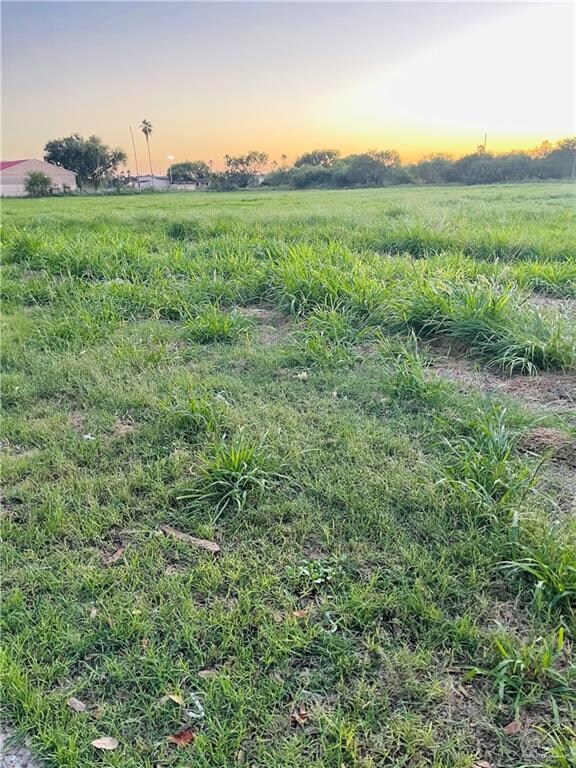 904 Baize Ave, Donna, TX 78537 - photo 2