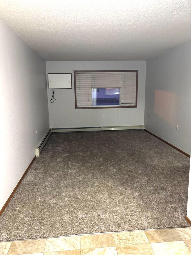 1421 Lake Ave NW unit 406, Willmar, MN 56201 - photo 4