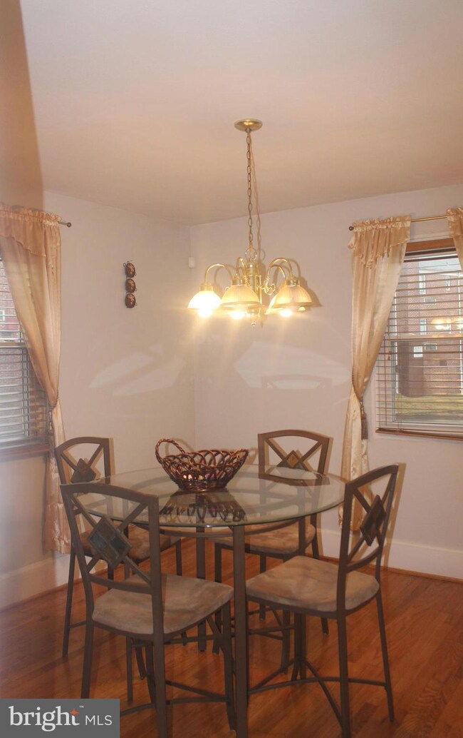 3902 Mountwood Rd, Baltimore, MD 21229 - photo 6