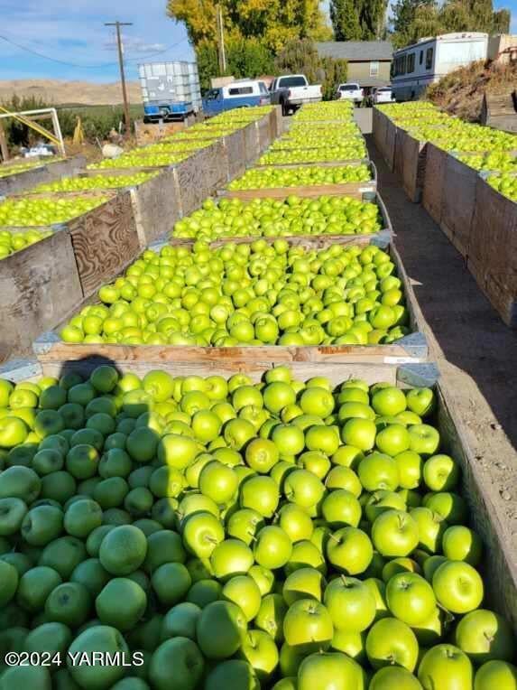 4851 Lombard Loop Rd, Zillah, WA 98953 - photo 2