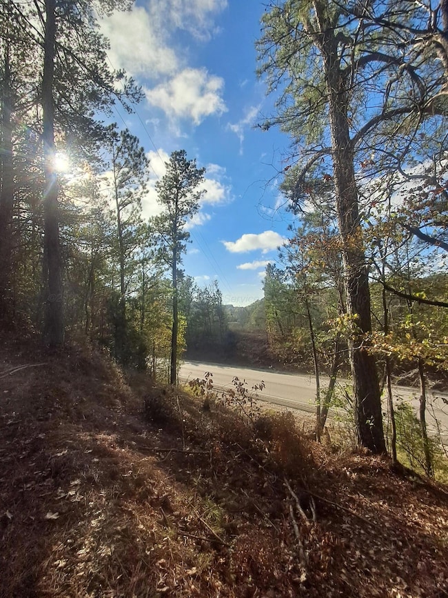 00 US Hwy 278, Haleyville, AL 35565 - photo 4