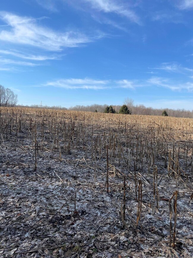 0 48th Ave unit 25050708, Lawrence, MI 49064 - photo 5