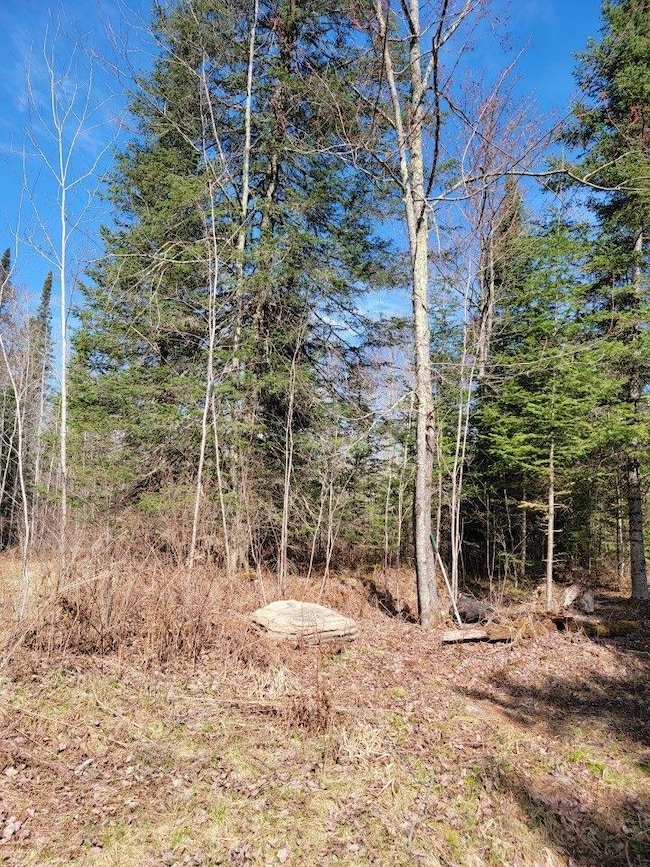 ON Luds Ln, Loretta, WI 54896 - photo 3