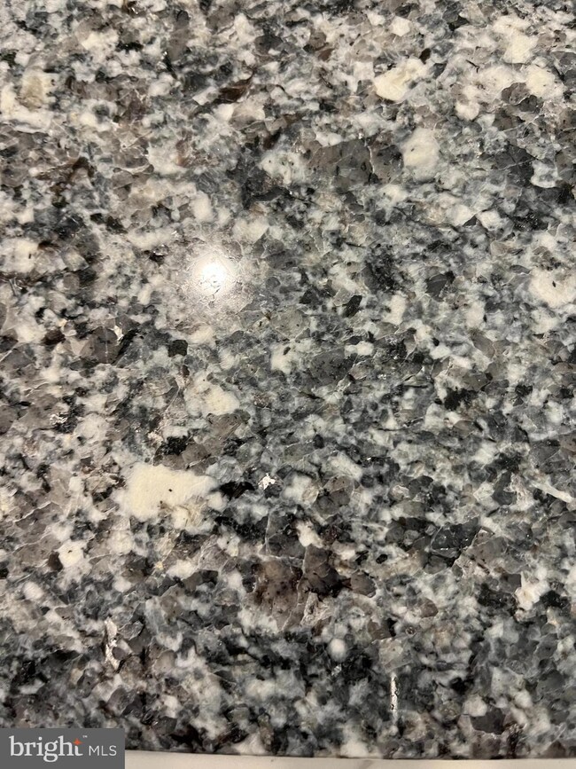 13965 Willistown Ln, Orange, VA 22960 - photo 6