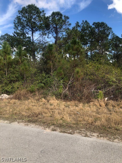 2110 Robert Ave, Alva, FL 33920 - photo 3