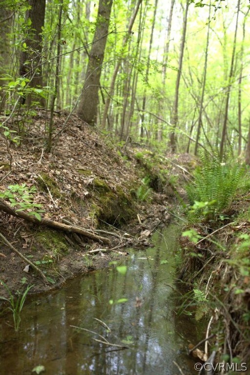 View of local wilderness featuring a water view